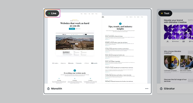 Live mode selection in Mosaic confirming the chosen theme as the active WordPress theme for the website