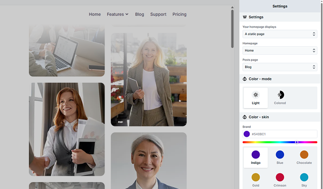 Theme setup Wizard in Mosaic displaying settings configuration step during initial theme creation