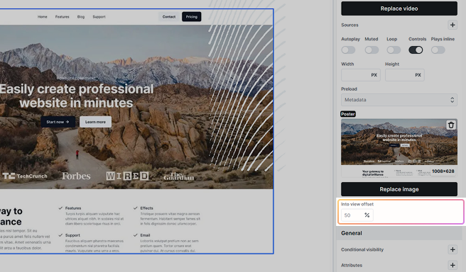Mosaic video settings showing the ‘Into view offset’ option